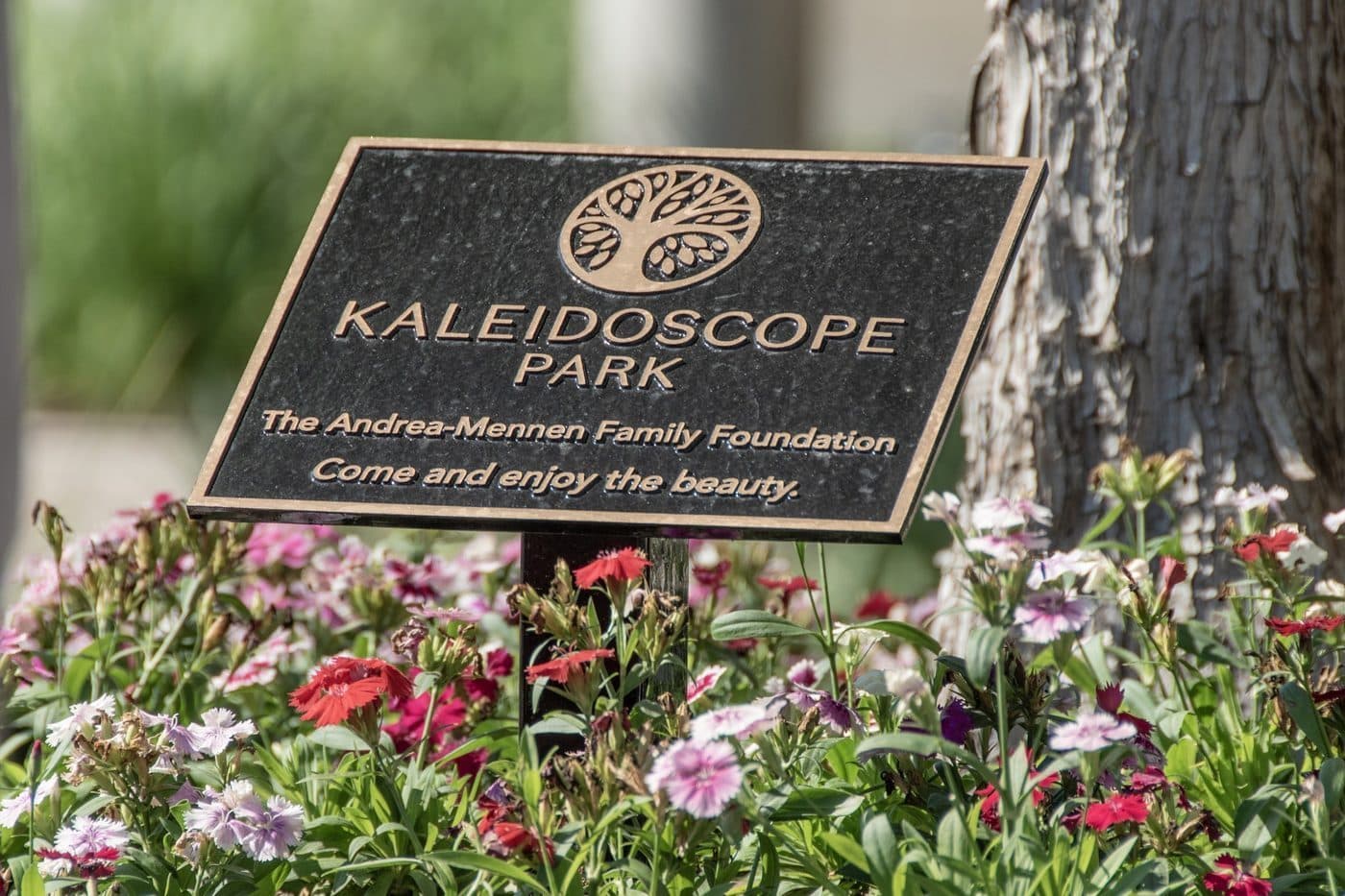 A dedication plaque among the flowers at Kaleidoscope Park